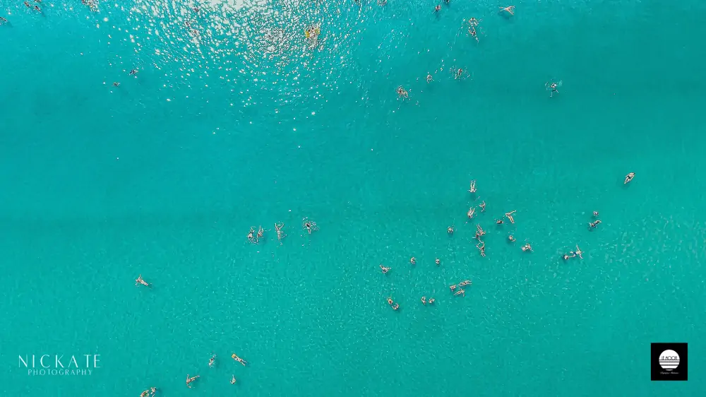 LeMoon, interior detail